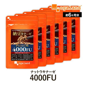 ibgELi[[v~A 4000FU i6j  [ V [ I[Kh [ ȕ v̖ yf [Li[[ r^~K2  Tv Tvg |C