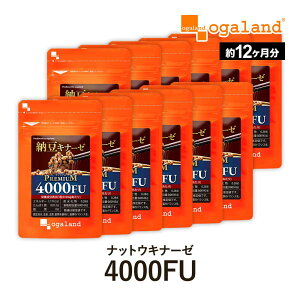 ibgELi[[v~A 4000FU i12j  [ [ I[Kh [ ȕ v̖ yf [Li[[ r^~K2  Tv Tvg |Cg