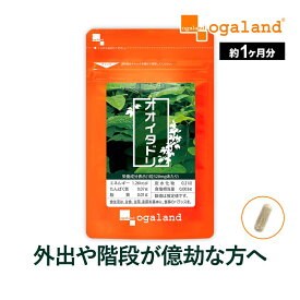 【3/4 20時スタート！期間限定50％OFF】オオイタドリ（約1ヶ月分）大痛取 送料無料 サプリメント サプリ 運動時のサポートに！ 若々しく グルコサミンとの相性◎ オーガランド 健康 サプリ 緑イ貝 ヒアルロン酸 レスベラトロール 評判 低価格 ポイント消化 送料無料
