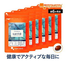 プロテオグリカン （6個セット・約6ヶ月分）美容 健康 サプリ サプリメント エイジングケア 美容ケア ヒアルロン酸 コラーゲン グルコサミン コンドロイチン と相性◎ オーガランド 【半年分】 _JB_JH ポイント消化 送料無 ポイント消費 送料無料