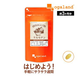 ケルセチン（約3ヶ月分） サプリメント健康 美容 亜麻仁油 送料無料 国産玉ねぎ 配合 サプリ キレイと健康サポートに！食事で不足 若々しく ポリフェノール ビタミンP ポイント消化 送料無 ポイント消費 送料無料