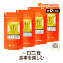 サラシアエキス（約12ヶ月分）送料無料 サラシア茶 サプリメント サプリ ダイエット オーガランド 大容量 【1年分】 ポイント消化 送料無 ポイント消費 送料無料