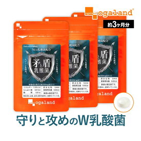矛と盾乳酸菌(R)（約3ヶ月分）乳酸菌 サプリ 1兆個 以上 2種類 レジスト乳酸菌 シールド乳酸菌 善玉菌 オリゴ糖 水溶性 食物繊維 ビタミン びたみん 菌活 健康 美容 ダイエット オーガランド サプリメント おすすめ 国内製造 ポイント消化 送料無 ポイント消費 送料無料