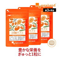 【サプリで手軽に】サジー サプリ（約3ヶ月分）送料無料 沙棘 ダイエット 美容 サプリメント ビタミン 鉄…