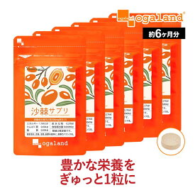 サジー サプリ（約6ヶ月分）送料無料 オーガランド サプリ サプリメント 沙棘 ダイエット ヘスペリジン ナイアシン アミノ酸 不飽和脂肪酸 エイジングケア 通販 限定 ogaland 大容量 【半年分】 _JD _sss ポイント消化 送料無 ポイント消費 送料無料
