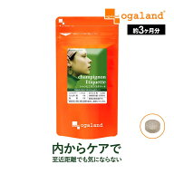 シャンピニオンエチケット（約3ヶ月分）送料無料 サプリ サプリメント オーガランド エチケット 若々しく…