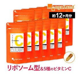 SIX VITAMIN C（約12ヶ月分）リポソーム型ビタミンC リポソーム ビタミンC 1000mg サプリ 送料無料 国内製造 美容 健康 サプリメント アスコルビン酸 鉄分 配合 持続性 ビタミンC誘導体 強化型 高吸収 国産 オーガランド ポイント消化 送料無 ポイント消費 送料無料