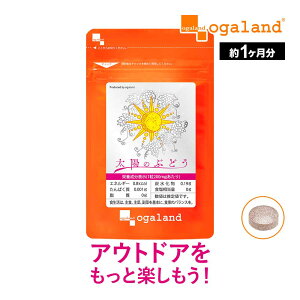 ẑԂǂi1jvAgVAjW |tFm[ S[fx[ Tv CJx[ ԃuhEqGLX |Cg  |Cg 