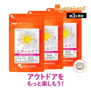 ���z�̂Ԃǂ��i��3�������j �O���[�v�V�[�h �T�v���������� �v���A���g�V�A�j�W�� �S�[���f���x���[ �C���J�x���[ �ԃu�h�E��q�G�L�X��_JB �|�C���g���� ������ �|�C���g���� ��������