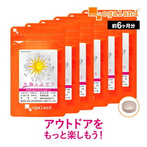 |tFm[ ẑԂǂi6j Tvg Tv vAgVAjW S[fx[ CJx[ ԃuhEqGLX _JB |Cg  |Cg