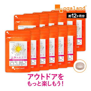 ���z�̂Ԃǂ��i��12�������j �O���[�v�V�[�h �T�v����e�� �������� �v���A���g�V�A�j�W�� �S�[���f���x���[ �C���J�x���[ �ԃu�h�E��q�G�L�X�� �T�v�������g �y1�N���z _JB �|�C���g���� 