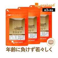 冬虫夏草（約3ヶ月分）アミノ酸 ミネラル ビタミン 送料無料 サプリメント サプリ 冬虫夏草菌糸 冬虫花草…