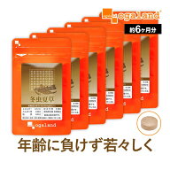 冬虫夏草（約6ヶ月分）送料無料 サプリメント サプリ 冬虫花草 健康 オーガランド supplement アミノ酸 …