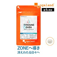チロシン&GABA（約1ヶ月分）サプリ チロシン1日750mg ギャバ gaba 効率 生活の質 アミノ酸 L-チロシン サ…