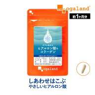 W低分子ヒアルロン酸&コラーゲン（約1ヶ月分）ヒアルロン酸 コラーゲン サプリ サプリメント Colagen オ…