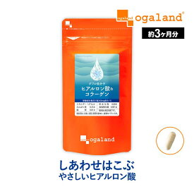 W低分子ヒアルロン酸&コラーゲン（約3ヶ月分） ヒアルロン酸 コラーゲン 送料無料 サプリ サプリメント オーガランド