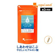 W低分子ヒアルロン酸&コラーゲン（約3ヶ月分） ヒアルロン酸 コラーゲン 送料無料 サプリ サプリメント C…