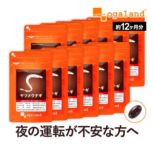 cEiM i12j Tvg Tv I[Kh DHA NR̎ ߂Ȃ r^~A X^~i fW^PA N e X e y1Nz _JH |Cg 