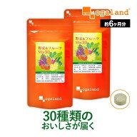 野菜&フルーツMix30（約6ヶ月分）ビタミン ミネラル 野菜不足 食物繊維 送料無料 不規則な食生活に 24種…