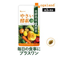 やさい酵素（約3ヶ月分）送料無料 健康 酵素 サプリ サプリメント 野菜酵素 ダイエットサプリ 野菜不足 …