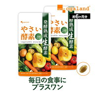 やさい酵素（約6ヶ月分）野菜不足 生酵素 えごま油 アマニ油 亜麻仁油 野菜酵素 野草 健康 美容 酵素 サ…