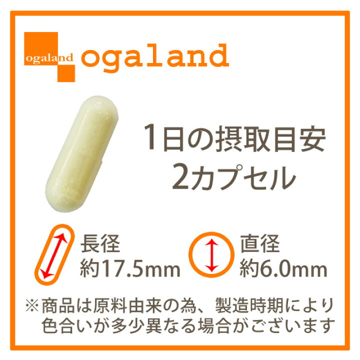 楽天市場】＼楽天1位獲得／ 燃焼系 ダイエットサプリ α-リポ酸 （約1 