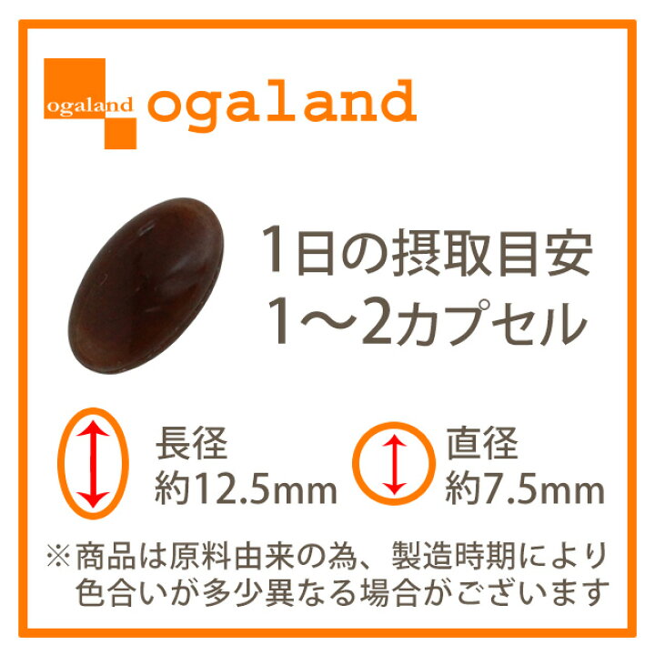 楽天市場 期間限定 セール ヤツメウナギ 約6ヶ月分 送料無料 サプリメント サプリ オーガランド Dha クコの実 やつめうなぎ 乾燥 ビタミンa スタミナ 元気 デジタルケア 健康 美容 大容量 半年分 Jh サプリ専門店 オーガランド
