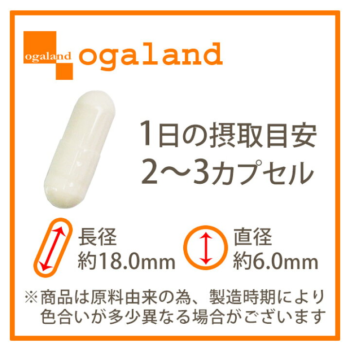 シスチン サプリメント 1袋 日本製