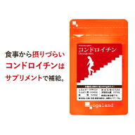 コンドロイチン （3個セット・約3ヶ月分）ビタミン 送料無料 サプリメント サプリ ムコ多糖類 グルコサミ…