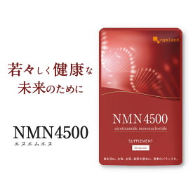NMN 4500 （約3ヶ月分）ニコチンアミド モノヌクレオチド 送料無料 サプリメント サプリ 若々しく 加齢 とともに減少する nmn ビタミンB3 （ナイアシン） 国内製造 日本 国産 NMNサプリ エイジングケア オーガランド mnm _JH_JB_JD