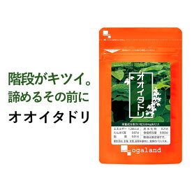 オオイタドリ（約3ヶ月分） サプリメント大痛取 ヒアルロン酸 レスベラトロール 送料無料 サプリメント サプリ 運動時の違和感に！ 若々しく グルコサミンとの相性◎ogaland オーガランド 健康 サプリ 緑イ貝 _JH