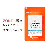 チロシン&GABA（3個セット・約3ヶ月分）サプリ チロシン1日750mg ギャバ 効率 生活の質アミノ酸 L-チロシ…
