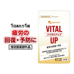 y w򕔊Oi zoC^Abvi180j J    g̕s P ₷ ꂪc ĝd ĝ邢 h{ g̕s̉P \h  邳 ڂ̔ 