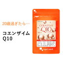 コエンザイムQ10（約1ヶ月分）送料無料 燃焼系 ダイエット サプリメント Lカルニチン や αリポ酸 との相性◎ サプリ 初心者におすすめ 基礎サプリ 黒コシ...