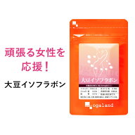 90日分 大豆イソフラボンサプリ （約3ヶ月分）男性 女性 どちらもおすすめ 大豆 イソフラボン エクオール…