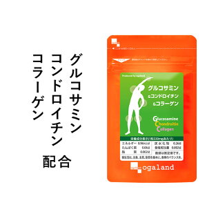 グルコサミン コンドロイチンの通販 価格比較 価格 Com