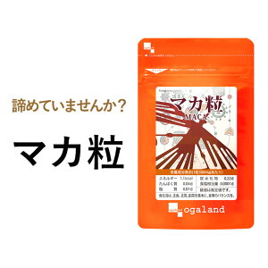 【クーポンで50%OFF】マカ粒(約12ヶ月分)送料無料 サプリ サプリメント マカ 粉末 を飲みやすい 亜鉛 や 葉酸と一緒が人気 健康 美容 男性 女性 の元気に ビタミン ミネラル 鉄 たんぱく質 オーガランド 口コミ 評判 低価格 大容量 【1年分】 _JH