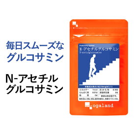 N-アセチルグルコサミン （約6ヶ月分） 送料無料 健康 元気 若 天然型グルコサミン サプリメント サプリ ヒアルロン酸 健康食品 低価格 グルコサミン コンドロイチン との併用がおすすめ ポイント消化 送料無 ポイント消費 送料無料