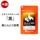 【半額 タイムセール】黒 にんにく 卵黄 サプリ （約3ヶ月分）スーパーセール 送料無...