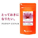 プエラリアミリフィカ（3個セット・180粒）送料無料 1,000円 ポッキリ プエラリアミリフィカ末を1粒あたり 49.86mg配合 サプリメント【M】 _JB...