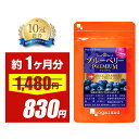 【43％OFF】【楽天1位獲得！】ブルーベリープレミアム（約1ヶ月分） 送料無料 ブルーベリー ビルベリー ルテイン アントシアニン アスタキサンチン カシス 健康 サプリメント 国内製造 オーガランド アイケア サプリ もやもや パソコン