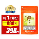 【54％OFF】【テレビで話題】 ダイエットサプリ 体内フローラの味方！ 酪酸菌 サプリ（約1ヶ月分） 乳酸菌 ビフィズス菌 との相性◎ サプリメント オリゴ糖 食物繊維 善玉菌 酪酸 健康 トイレサポート スッキリ ダイエット サプリ エイジングケア お試し