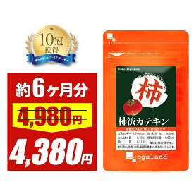＼SALE開催中／柿渋カテキン（約6ヶ月分）送料無料 サプリメント サプリ ニオイ 香り エチケット ポリフェノール 制汗剤 香水 柿渋石鹸 香水 健康 ヘルス 石鹸 せっけん 大容量 【半年分】 _JB_JH