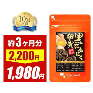 ySALEzyj[Az ɂɂ Tv 3 C N Tv  jjN ɂɂ jjN nɂɂ XY nzCgZ Y jj