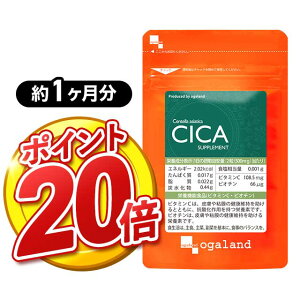 y|Cg20{zCICAi1j Tvg e c{NTGLX ngMGLX ͂Ƃނ rI` R[Q r^~C  VJ Y ϐ CICA pbN  N[  