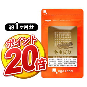 y|Cg20{z~đi1j A~m_ ~l Tvg Tv ~ԑ N C I[Kh supplement K N LmR  ̂yYz _JH |Cg