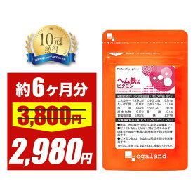 【大特価SALE】【お得な大容量】ヘム鉄 & ビタミン（約6ヶ月分） 送料無料 鉄 鉄分 サプリメント ミネラル おすすめ 鉄分補給 ダイエット 鉄分不足 食事で不足 ヘルスケア 大容量 半年分 ヘルスケア 気になるお悩みに 亜鉛との相性抜群 オーガランド ポイント消化 送料無