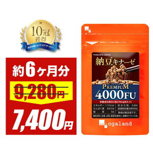 ySALEzibgELi[[v~A 4000FU i6j  [ V [ I[Kh [ ȕ v̖ yf [Li[[ r^~K2  Tv Tv