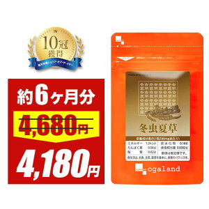 ySALEz~đi6j Tvg Tv ~ԑ N I[Kh supplement A~m_ K ~l  N LmR  ̂ e  yNz _JH 