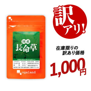 �y�󂠂�E���ʌ���z���Y�������i��1�������j ������ �������� ���Y �C�\�T�~�W�� ���N�T�v�� �r�^�~��E �T�v�������g �I�[�K�����h �������� �������� �H�p�Ԃǂ��� �{�^���{�E�t�E ���o 